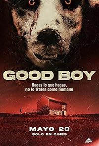 Good Boy 2022 Hindi Dubbed Norwegian Movie Download 480p 720p 1080p Mp4Moviez